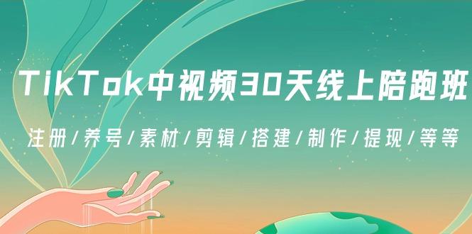 TikTok中视频-30天线上陪跑班：注册/养号/素材/剪辑/搭建/制作/提现/等等-木白网创