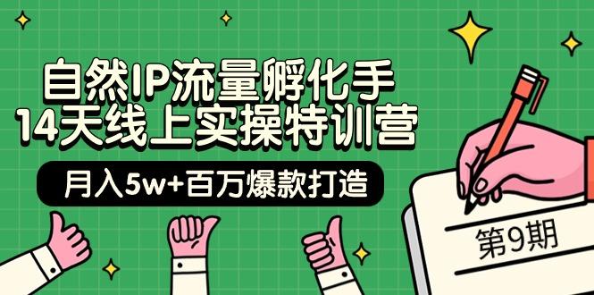 (9881期)自然IP流量孵化手 14天线上实操特训营【第9期】月入5w+百万爆款打造 (74节)-木白网创
