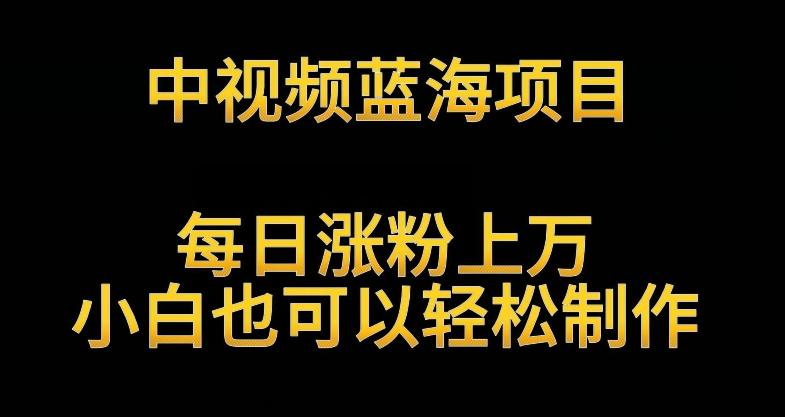 中视频蓝海项目，解读英雄人物生平，每日涨粉上万，小白也可以轻松制作，月入过万不是梦【揭秘】-木白网创