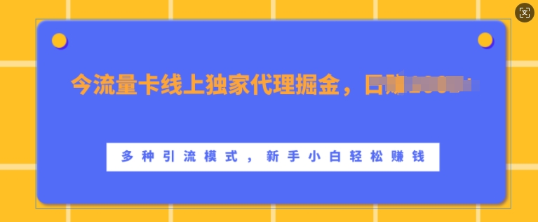 流量卡线上独家代理掘金，日入1k+ ，多种引流模式，新手小白轻松上手【揭秘】-木白网创