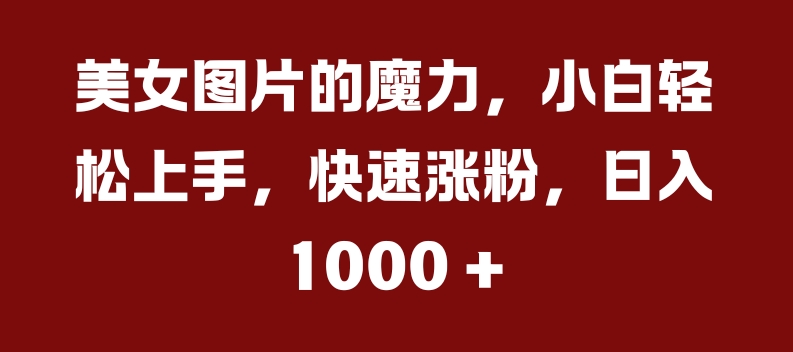 美女图片的魔力，小白轻松上手，快速涨粉，日入几张【揭秘】-木白网创