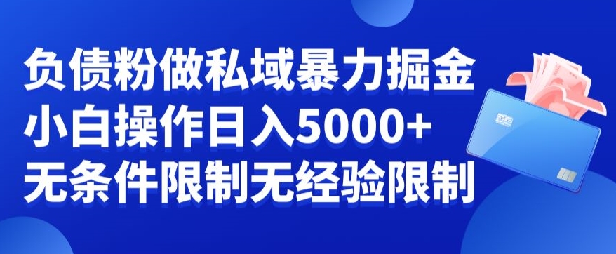 负债粉私域暴力掘金，小白操作入5000，无经验限制，无条件限制【揭秘】-木白网创