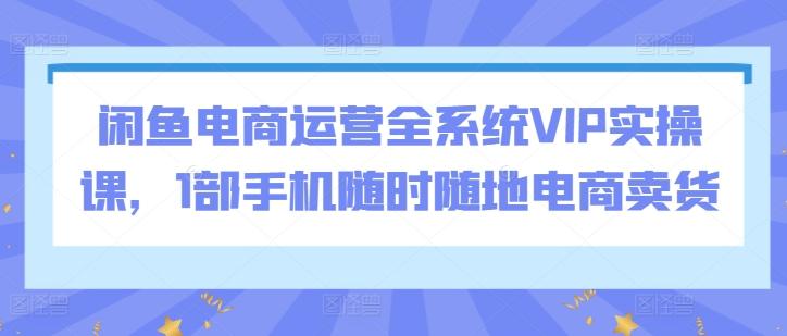 闲鱼电商运营全系统VIP实操课，1部手机随时随地电商卖货-木白网创