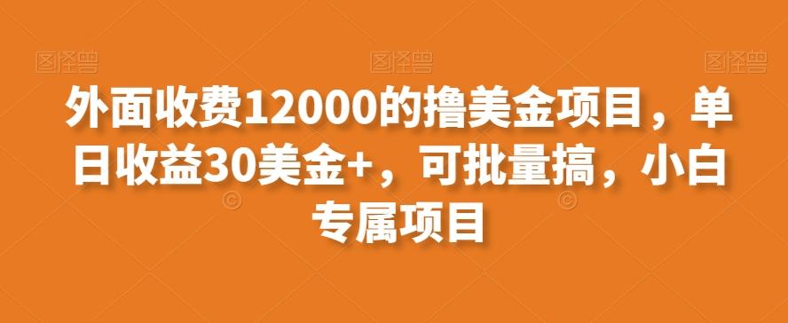 外面收费12000的撸美金项目，单日收益30美金+，可批量搞，小白专属项目-木白网创