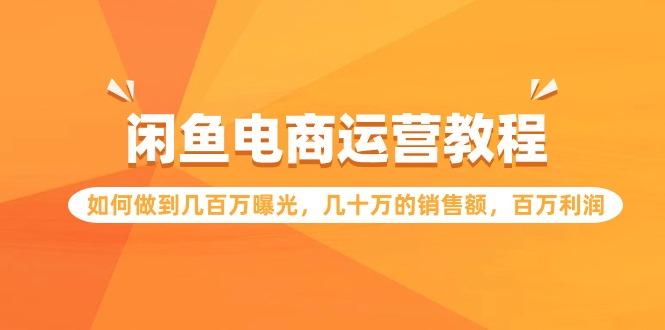 (9560期)闲鱼电商运营教程：如何做到几百万曝光，几十万的销售额，百万利润-木白网创