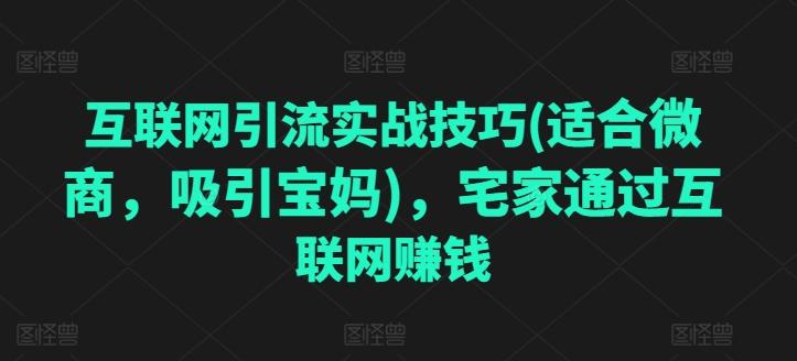互联网引流实战技巧(适合微商，吸引宝妈)，宅家通过互联网赚钱-木白网创