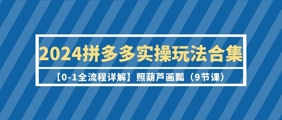 (9559期)2024拼多多实操玩法合集【0-1全流程详解】照葫芦画瓢(9节课)-木白网创