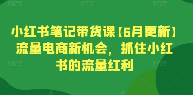 小红书笔记带货课【6月更新】流量电商新机会，抓住小红书的流量红利-木白网创