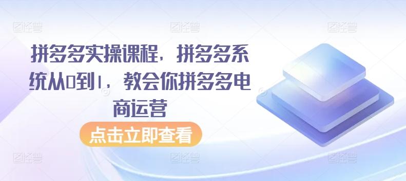 拼多多实操课程，拼多多系统从0到1，教会你拼多多电商运营-木白网创