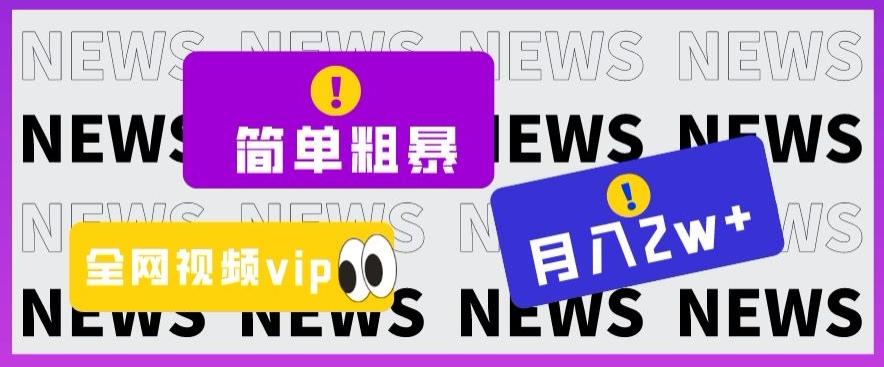 简单粗暴零成本，高回报，全网视频VIP掘金项目，月入2万＋【揭秘】-木白网创