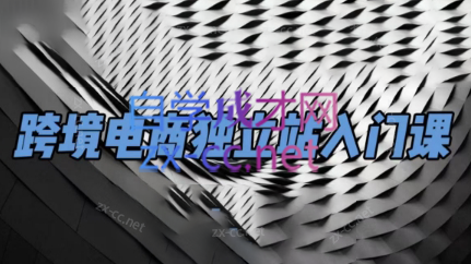 团长·跨境电商独立站入门课(2小时精华)-木白网创