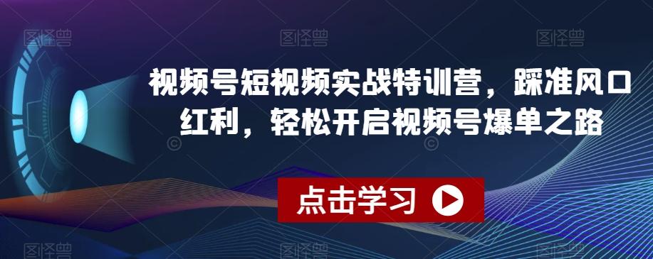 视频号短视频实战特训营，踩准风口红利，轻松开启视频号爆单之路-木白网创