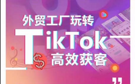 外贸工厂玩转TikTok高效获客，多种引流方式与账号定位技巧，拆解爆款短视频打造成功案例-木白网创