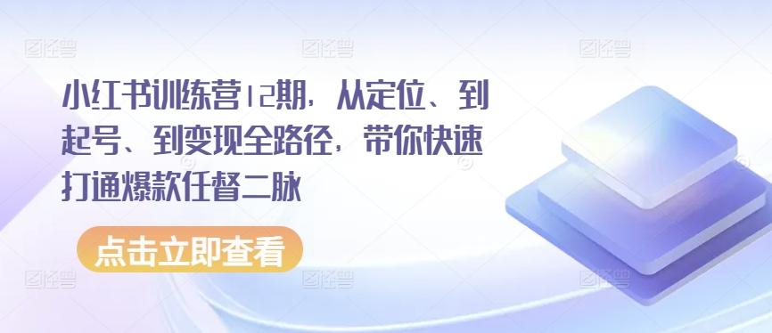 小红书训练营12期，从定位、到起号、到变现全路径，带你快速打通爆款任督二脉-木白网创