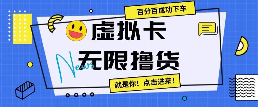 虚拟卡无限撸货，百分百成功下车【仅揭秘】-木白网创