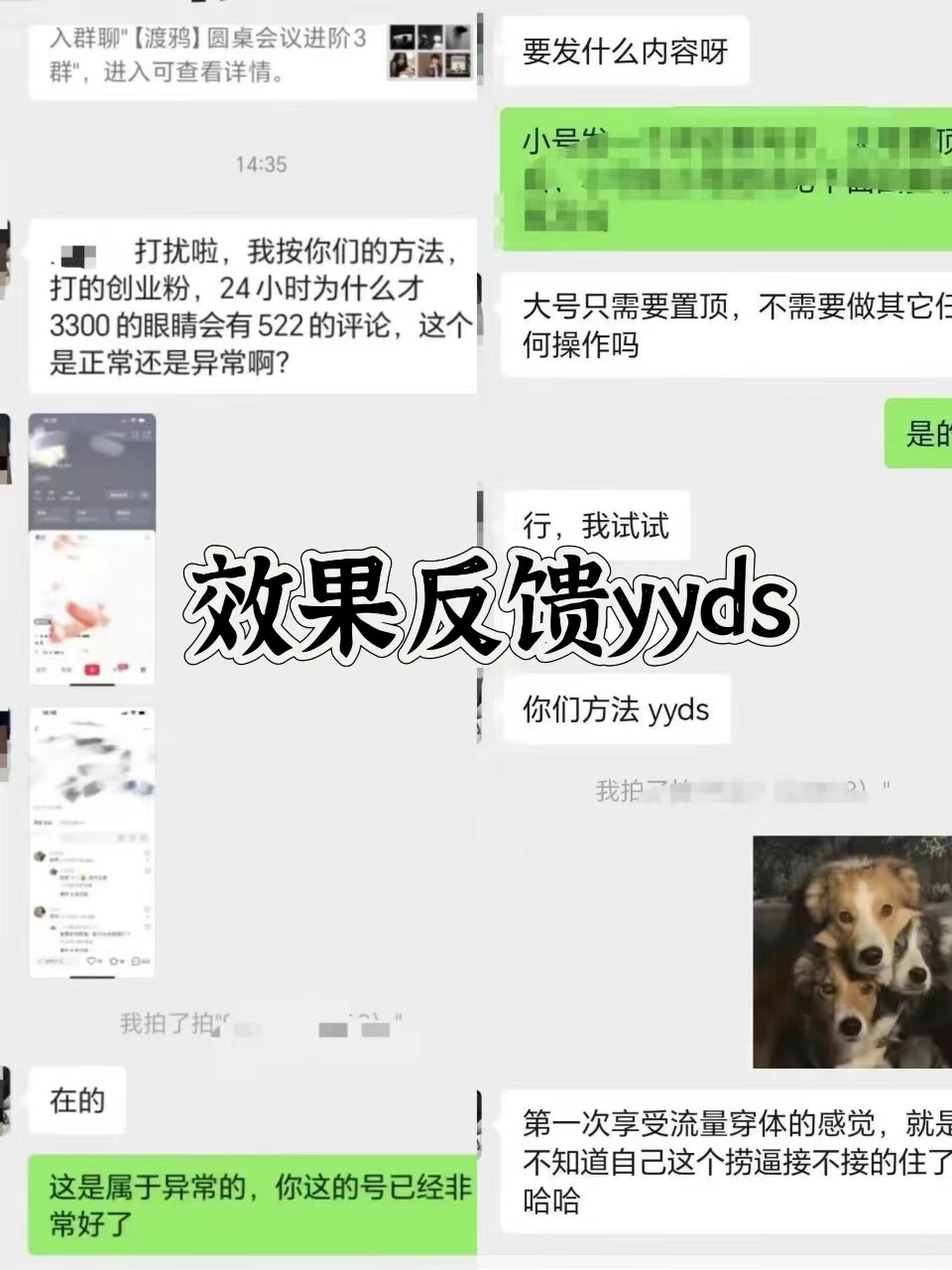 图片[3]-抖音小红书视频号全平台引流打法，全自动引流日引2000+精准客户-木白网创