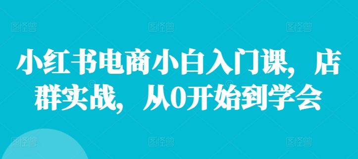 小红书电商小白入门课，店群实战，从0开始到学会-木白网创