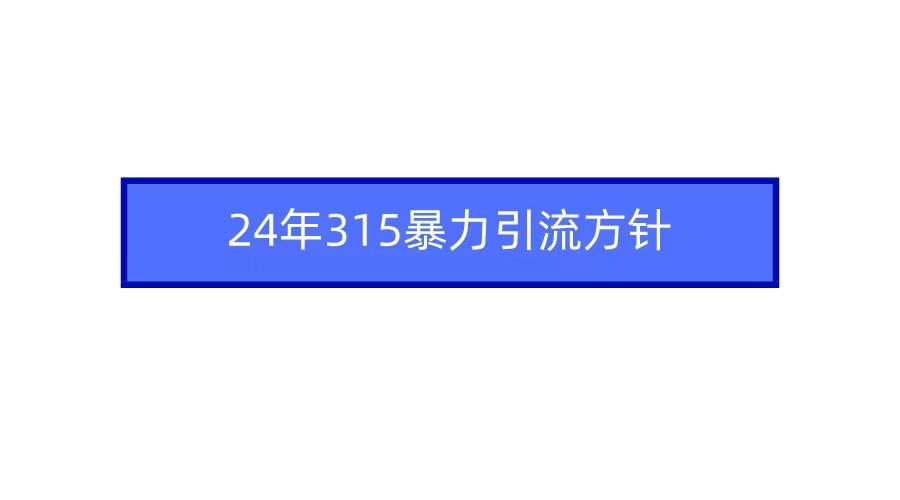 (9398期)2024年315暴力引流方针-木白网创