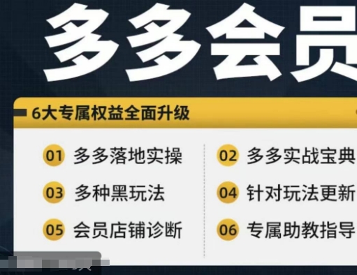拼多多会员，拼多多实战宝典+实战落地实操，从新手到高阶内容全面覆盖-木白网创