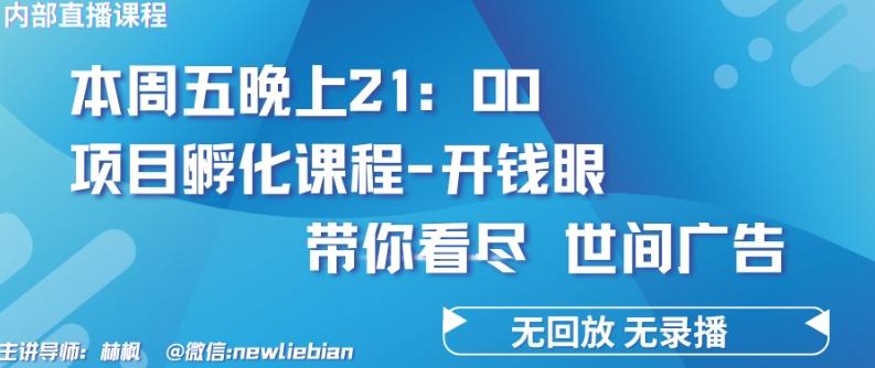 4.26日内部回放课程《项目孵化-开钱眼》赚钱的底层逻辑【揭秘】-木白网创