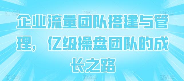 企业流量团队搭建与管理，亿级操盘团队的成长之路-木白网创