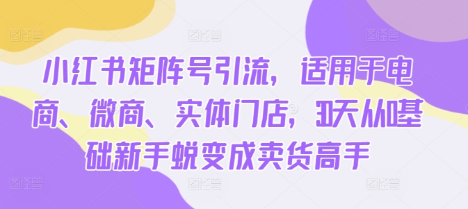 小红书矩阵号引流，适用于电商、微商、实体门店，30天从0基础新手蜕变成卖货高手-木白网创