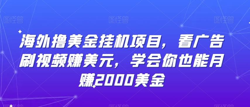 海外撸美金挂机项目，看广告刷视频赚美元，学会你也能月赚2000美金-木白网创