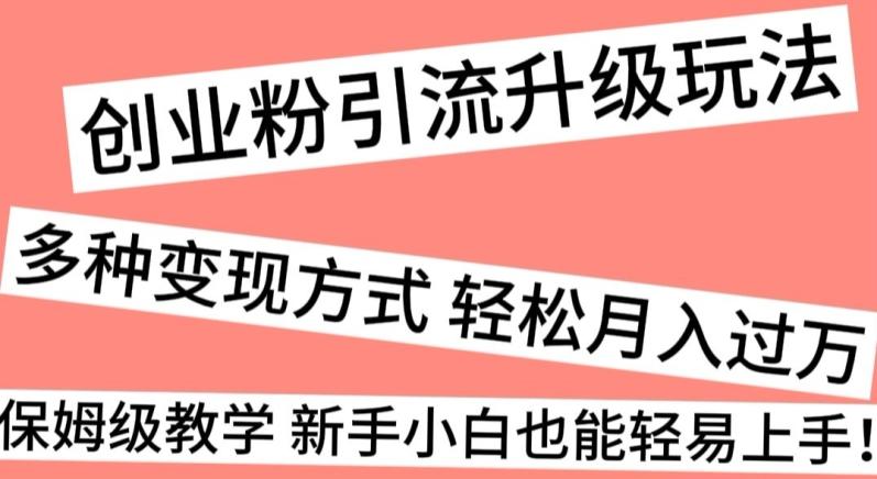 创业粉引流升级玩法，多种变现方式轻松月入过万，保姆级教学新手小白也能轻易上手！-木白网创
