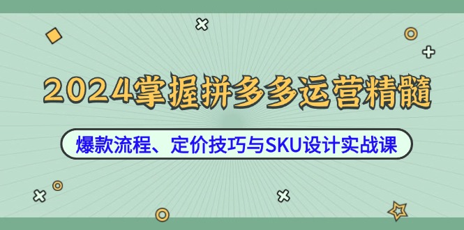2024掌握拼多多运营精髓：爆款流程、定价技巧与SKU设计实战课-木白网创