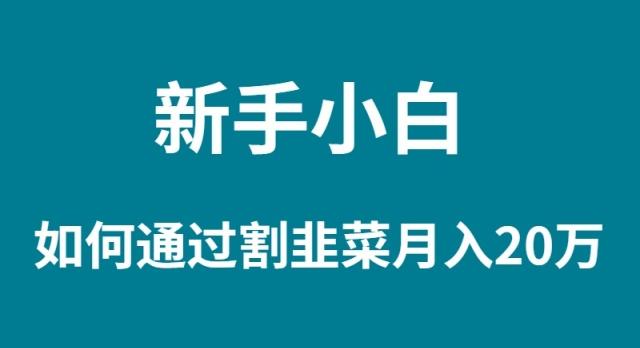 (9308期)新手小白如何通过割韭菜月入 20W-木白网创