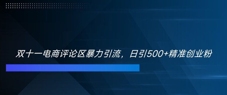 双十一电商评论区暴力引流，日引500+精准创业粉【揭秘】-木白网创