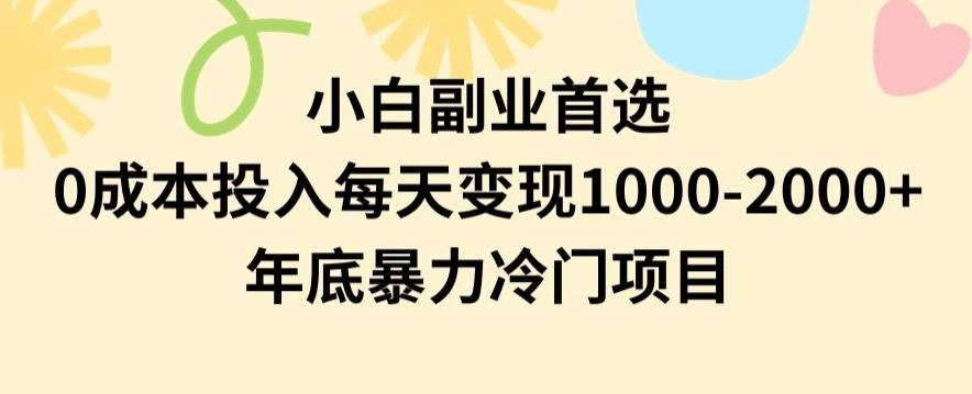 小白副业首选，0成本投入，每天变现1000-2000年底暴力冷门项目【揭秘】-木白网创
