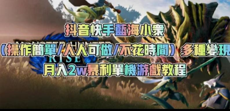 抖音快手蓝海小众（操作简单人人可做不花时间）多种变现月入2w＋暴利单机游戏教程-木白网创