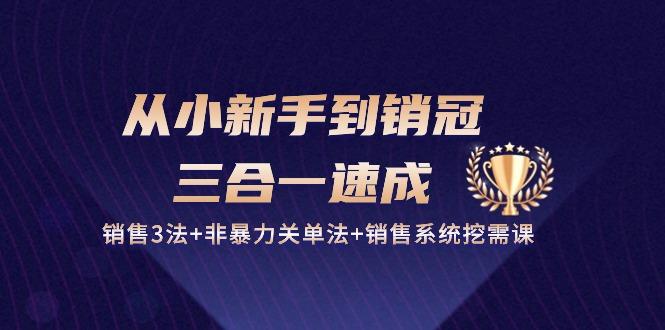 从小新手到销冠 三合一速成：销售3法+非暴力关单法+销售系统挖需课 (27节-木白网创