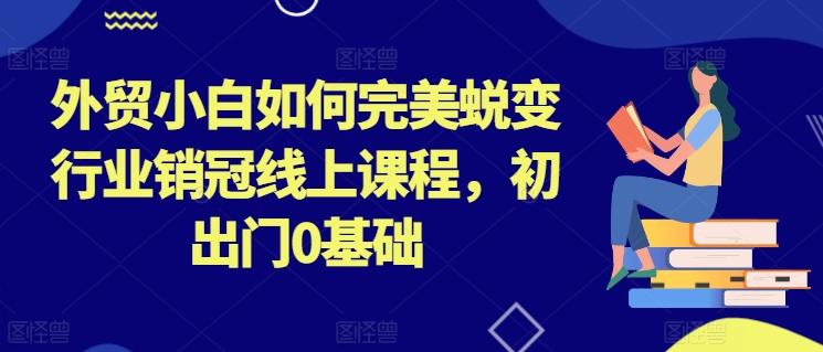 外贸小白如何完美蜕变行业销冠线上课程，初出门0基础-木白网创