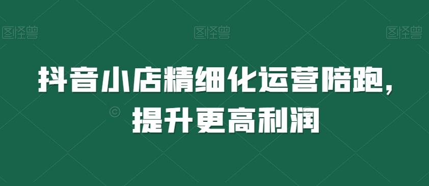 抖音小店精细化运营陪跑，提升更高利润-木白网创