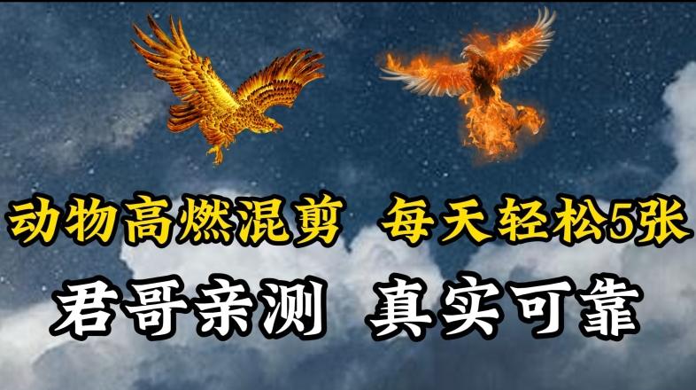 动物超燃混剪，每天轻松5张，剪辑简单大家爱看【揭秘】-木白网创