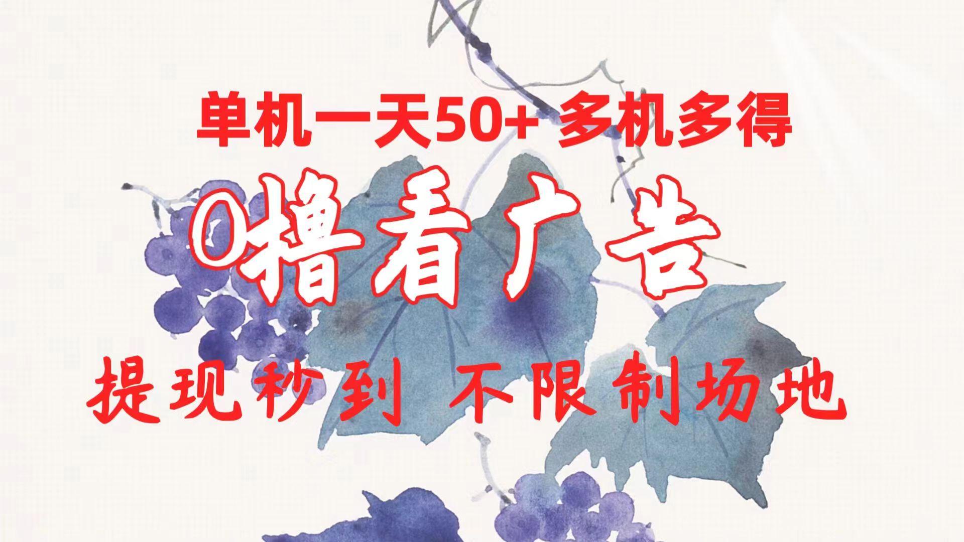 0撸看广告 单机一天50+多机多得 提现秒到 不限制场地操作-木白网创