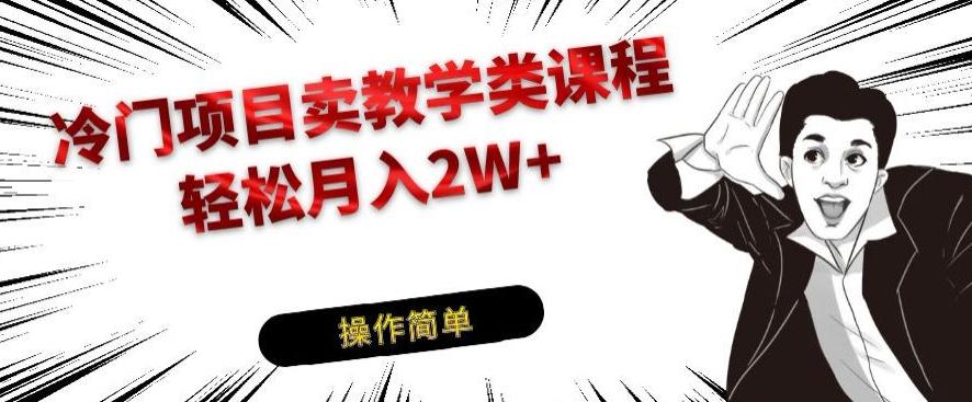 冷门项目卖教学类课程，轻松月入2W+-木白网创