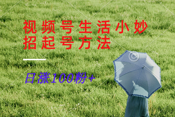 视频号生活小妙招分享赛道， 起号涨粉新方法，日涨100粉-木白网创