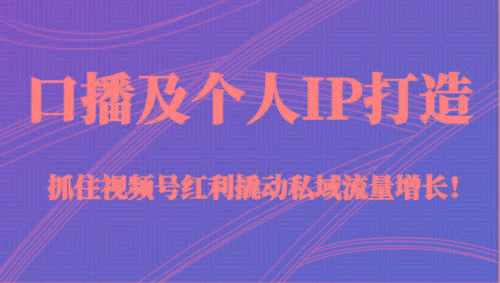 口播及个人IP打造，抓住视频号红利撬动私域流量增长！（45节课）-木白网创