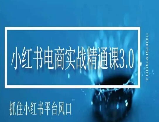 小红书电商实战精通课3.0，抓住小红书平台的风口，不错过有一个赚钱的机会-木白网创