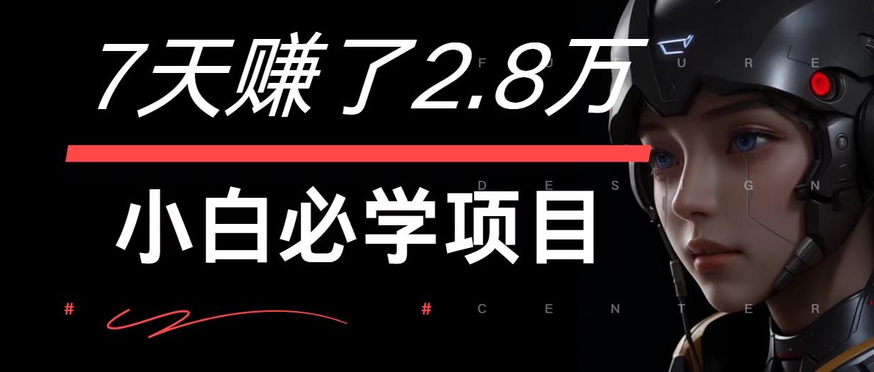 7天赚了2.8万！每单利润最少500+，轻松月入7万+小白有手就行-木白网创