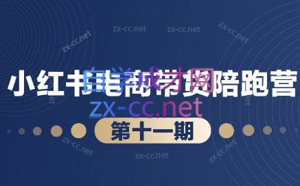 盗坤·小红书电商带货陪跑营(第十一期)-木白网创