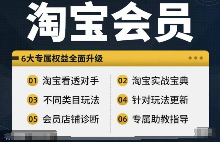 淘宝会员【淘宝所有课程，全面分析对手】，初级到高手全系实战宝典-木白网创