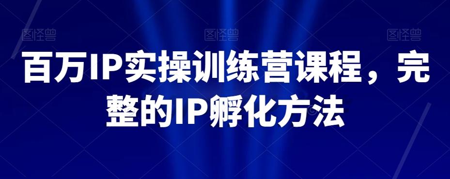 百万IP实操训练营课程，完整的IP孵化方法-木白网创