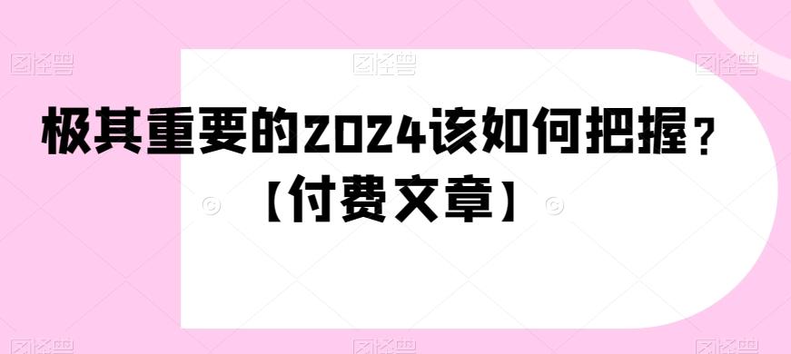 极其重要的2024该如何把握？【付费文章】-木白网创