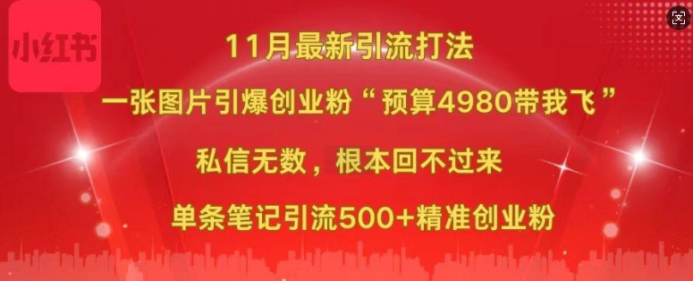 小红书11月最新图片打粉，一张图片引爆创业粉，“预算4980带我飞”，单条引流500+精准创业粉-木白网创