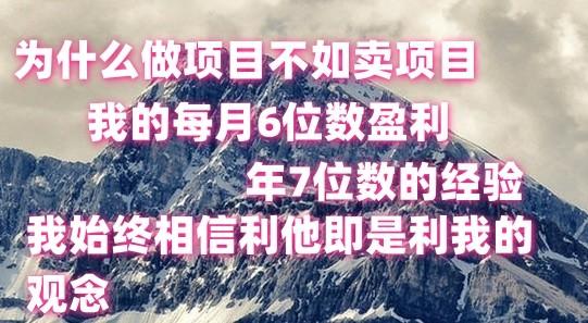 做项目不如卖项目，每月6位数盈利，年7位数经验-木白网创