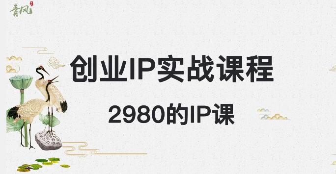 外边卖2980的创业IP课程，做私域月入5w+-木白网创